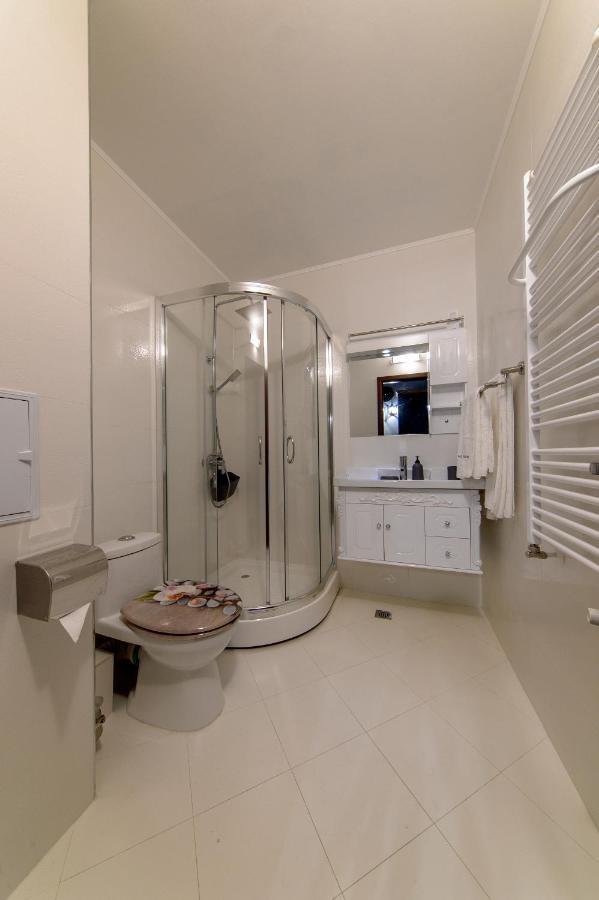 Luxury 2-bedroom By Studenets Center By Flat Mаnager Apartment Pamporowo